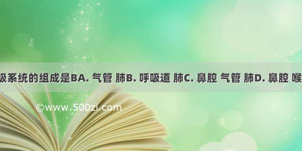 人体呼吸系统的组成是BA. 气管 肺B. 呼吸道 肺C. 鼻腔 气管 肺D. 鼻腔 喉 气管 肺