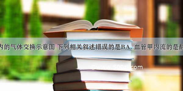 图为肺泡内的气体交换示意图 下列相关叙述错误的是BA. 血管甲内流的是静脉血 血管