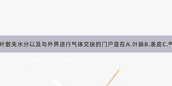 单选题叶片散失水分以及与外界进行气体交抉的门户是在A.叶脉B.表皮C.气孔D.叶肉