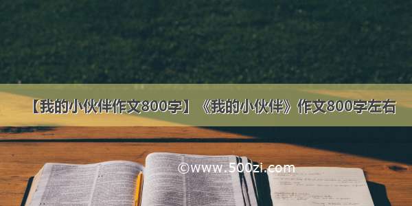 【我的小伙伴作文800字】《我的小伙伴》作文800字左右