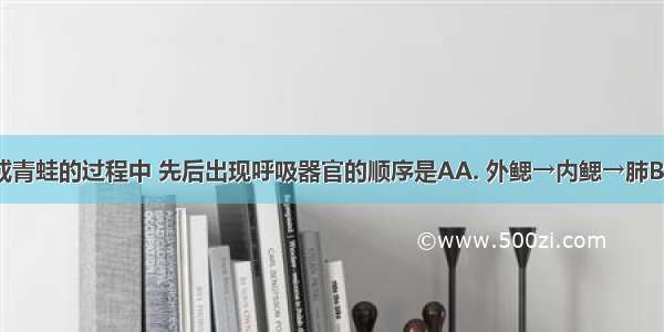 蝌蚪发育成青蛙的过程中 先后出现呼吸器官的顺序是AA. 外鳃→内鳃→肺B. 内鳃→外