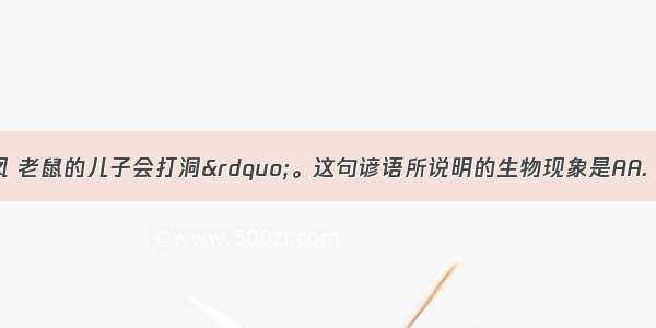 龙生龙 凤生凤 老鼠的儿子会打洞”。这句谚语所说明的生物现象是AA. 遗传B. 变异C