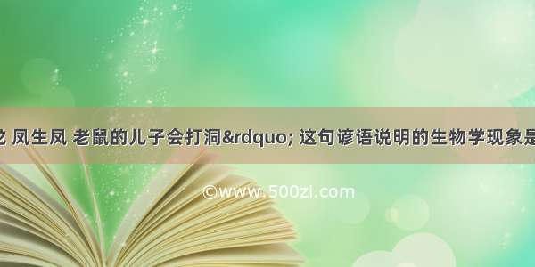 “龙生龙 凤生凤 老鼠的儿子会打洞” 这句谚语说明的生物学现象是CA. 生殖B. 发