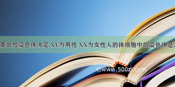 人的性别主要由性染色体决定 XY为男性 XX为女性人的体细胞中的染色体是23对 可写成