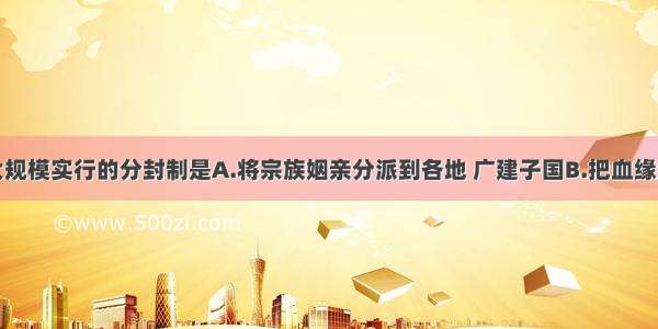 单选题西周大规模实行的分封制是A.将宗族姻亲分派到各地 广建子国B.把血缘纽带同政治关