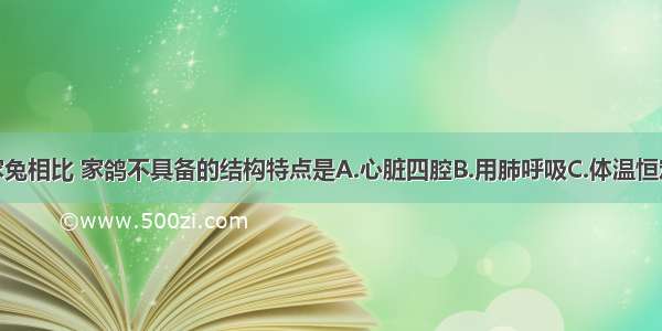 单选题与家兔相比 家鸽不具备的结构特点是A.心脏四腔B.用肺呼吸C.体温恒定D.体内有