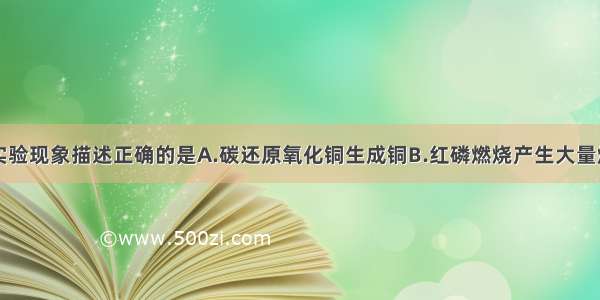 单选题下列实验现象描述正确的是A.碳还原氧化铜生成铜B.红磷燃烧产生大量烟雾C.硫在空