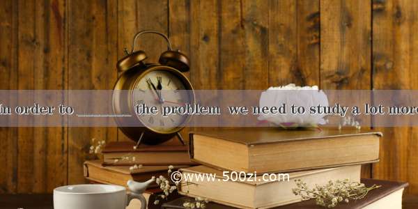 In order to _______ the problem  we need to study a lot more