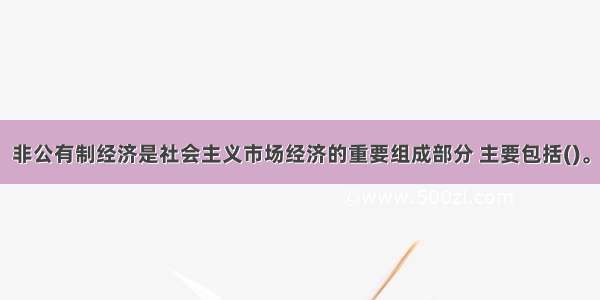 非公有制经济是社会主义市场经济的重要组成部分 主要包括()。