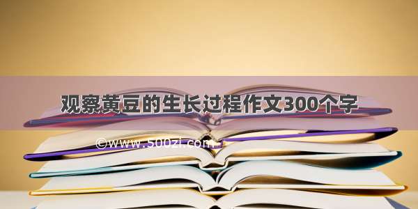 观察黄豆的生长过程作文300个字