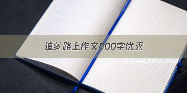 追梦路上作文800字优秀