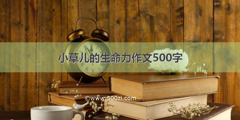 小草儿的生命力作文500字