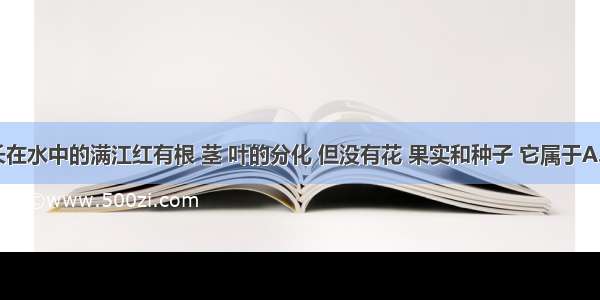 单选题生长在水中的满江红有根 茎 叶的分化 但没有花 果实和种子 它属于A.被子植物B