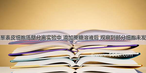 单选题在洋葱表皮细胞质壁分离实验中 滴加蔗糖溶液后 观察到部分细胞未发生质壁分离