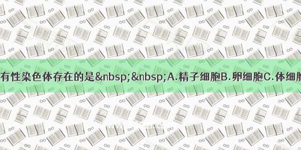 下列细胞中有性染色体存在的是  A.精子细胞B.卵细胞C.体细胞D.受精卵