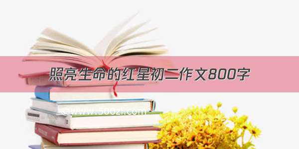 照亮生命的红星初二作文800字