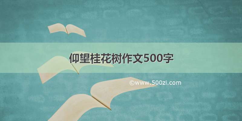 仰望桂花树作文500字