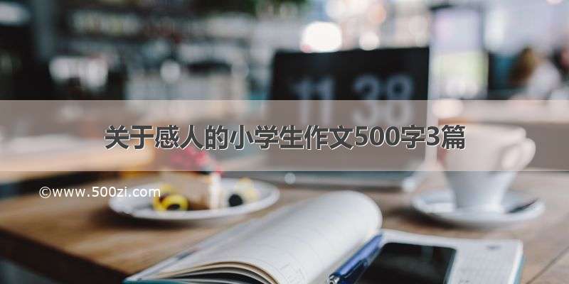 关于感人的小学生作文500字3篇