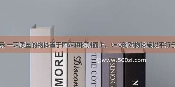 如右图甲所示 一定质量的物体置于固定粗糙斜面上。t=0时对物体施以平行于斜面向上的